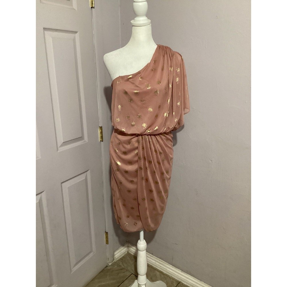 Adrianna Papell Evening Pink Chiffon One Shoulder Knee Length Dress 4